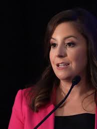 Elise marie stefanik and matthew albritton manda were married aug. Rep Elise Stefanik Declares Victory In Race For Ny S 21st Congressional District Wham