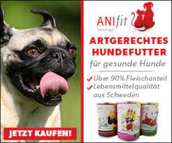 Vor der todesspritze mit t61 wird plakativ auf facebook gewarnt. Ihren Hund Einschlafern Lassen Senior Hunde De