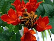 Botanischer Garten In Leipzig Familienkultour