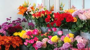 Flowers and ferns discount code. Ferns N Petals Discount Coupon Code Extra 20 Off Grands Coupon