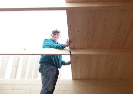 Gartenhaus Amsterdam Mollig Warm Mit Zwei Ofen In 2020 Gartenhaus Zwischendecke Gartenhaus Gmbh