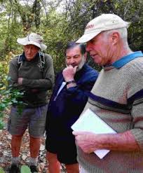 Image result for Globimetula mweroensis