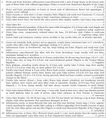 Image result for Rytigynia monantha