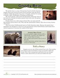 Grizzly Bear Facts Grizzly Bear Facts Bear Facts For Kids