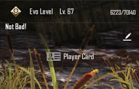Who do you usually have discussions with? How To Increase My Evo Level In Pubg Quora
