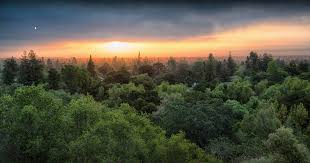 Image result for tbn:jgIyxUDlTgezJM::www.parisnajd.com/backgd/data/media/6/lakeside-1024.jpg