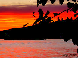 Koleksi oleh cara kita hd. Wallpaper Lampu Daun Daun Matahari Terbenam Laut Air Matahari Terbit Malam Senja Fajar Perahu Uji Perasaan Senang Sesudah Mengalami Kesenganan Englishbay 3081x2310 617799 Hd Wallpapers Wallhere