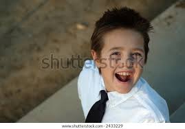 Ham Funny Photos and Images