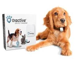 Available for a limited time only. Pet Watch 24 7 Pet Watch 24 7
