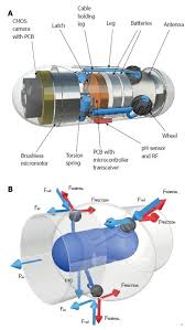Image result for Wireless Capsule Endoscopy