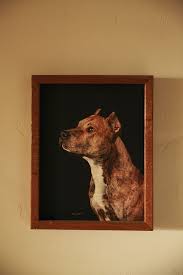 Dogs Of Character Vqr Online