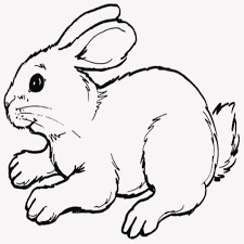 Aber leider findet man in den unendlichen weiten des internets nicht immer sofort, was man sucht, deshalb habe ich. Ausmalbild Hase Muster 28 Images Ausmalbilder Hasen Dekoking 12 Ausmalbild Hase Die Besten 25 Ausmalbild Hase Ideen Auf Hase Kaninchen Zentangle Stilisiert Vektor Illustration Hase Malvorlagen Zum Ausdrucken Hase Malen