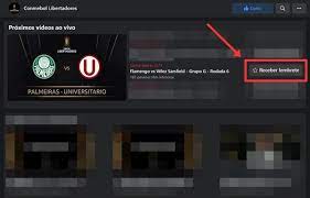 Horário e canal onde vai passar o jogo do flamengo hoje e todos os próximos jogos de 2020 já marcados ao vivo na tv ou online. Flamengo X Velez Sarsfield Ao Vivo Onde Assistir Ao Jogo Da Libertadores Streaming Techtudo