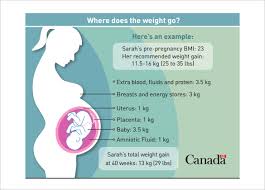 Baby Weight Chart 10 Free Pdf Documents Download Free