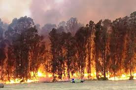 La exposición de los seres vivos a un incendio puede producir daños muy graves hasta la muerte. Tandil Debieron Evacuar Un Hotel Por Un Gran Incendio En Las Sierras Entrelineas Info