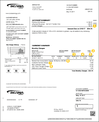 If you make a payment in person at any location other than one of. Understanding My Bill Scana Energy Natural Gas