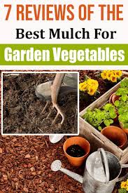 7 Reviews Of The Best Mulch For Garden Vegetables In 2020 Best Mulch For Garden Mulch For Vegetable Garden Vegetable Garden For Beginners