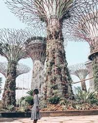Super Tree Grove Gardens By The Bay Marina Bay Sands Singapore Travel Style Instagram Phot Singapore Garden Travel Photography Travel Destinations Asia