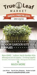Non Gmo Seeds Heirlooms Organics Herb Garden Microgreens Flower Sprouts Wheatgrass More Growing Food Indoors Organic Seeds Herb Garden Kit