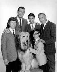 My Three Sons Family Comedy About A Widower Who Raises His Three Sons With The Help Of Uncle Charlie A Fun Show 1960s Tv Shows Don Grady My Three Sons