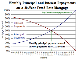 71 rigorous 30 year loan amortization chart