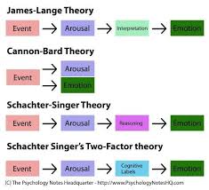 Psychology Notes Theories Of Emotion Psychology Notes Psychology Exam Teaching Psychology