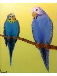 parakeets yagli boya
