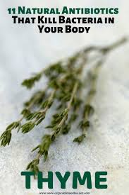 11 Natural Antibiotics That Kill Bacteria In Your Body Natural Antibiotics Natural Cough Remedies Natural Remedies