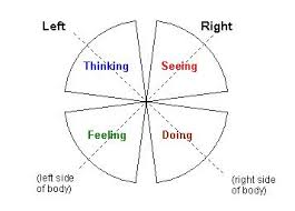 how astrology maps to the left right hemispheres of the brain