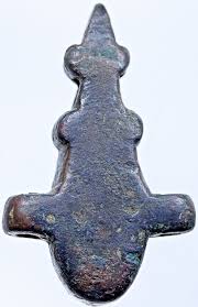 Image result for Triumfetta amuletum