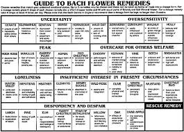 Bach Flowers That Fight Fear And Stress In High School Exams
