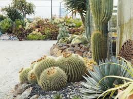 1001 Idees Fantastiques De Decor Avec Plantes Grasses D Exterieur Jardin De Plantes Grasses Plantes Grasses Jardin Exotique