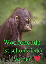Die 22 Besten Bilder Von Wochenende Vorbei In 2019 Wochenende