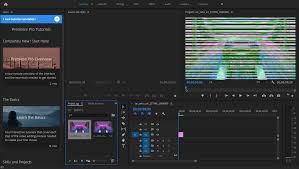 All questions 5 questions 6 questions 7 questions 8 questions 9 questions 10 questions 11 questions 12 questions 13 questions 14 questions 15 questions. Solved Green Lines Preview A Bug Adobe Support Community 11189211