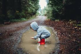 Learn more about the different types of activities for toddlers, including stuffed animal hide and seek and scavenger hunts along with their benefits. 11 Fun Ideas For Exploring Nature With Kids