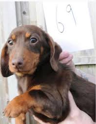 kate suiter (@katesuiter)