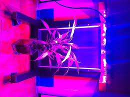 Check spelling or type a new query. 108w Led Grow Light Panel 9 Steps Instructables