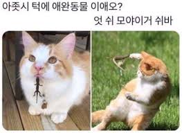 웃긴 짤 모음 ㅋㅋㅋㅋㅋㅋㅋㅋㅋㅋㅋㅋ - 악플달면 쩌리쩌려버려 - ＊여성시대＊ 차분한 20대들의 알흠다운 공간