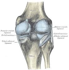 The patients ranged from 40 to 95 years. Posterior Knee Pain Physiopedia