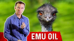 In This Video I Talk About An Oil That Comes From An Australian Bird Called Emu Oil And Its Bene Emu Oil Doctor Of Chiropractic Palmer College Of Chiropractic