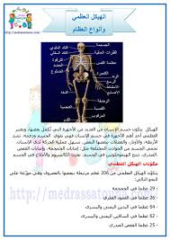 الهيكل العظمي وأنواع العظام مدرستنا Uig Movie Posters Movies