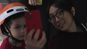 Introducing inCitu Pro