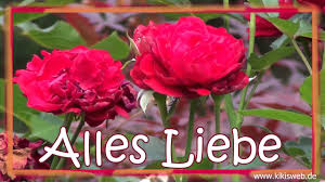 Ich wünsche mir jeden tag mit dir zu verbingen, um dich zu verwöhnen und dir zu zeigen wie gern ich dich hab. Grusse Zum Valentinstag Youtube