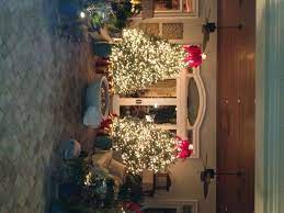 The price is $55 per night$55. Cactus Sands Nursery Myrtle Beach South Carolina Facebook