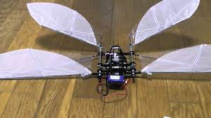 The bat bot folks have a great article in science this month, summarizing the challenges of replicating the flight of bats in biomimetic robots. Pin On Engineering
