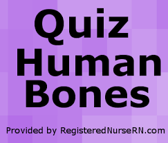 If you paid attention in history class, you might have a shot at a few of these answers. Quiz On Human Bones For Anatomy Physiology