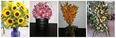 More popular shopping in lakeland. The 8 Best Options For Flower Delivery In Lakeland Florida 2021