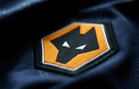 We did not find results for: Hd Wolverhampton Wanderers Fc Wallpapers Peakpx