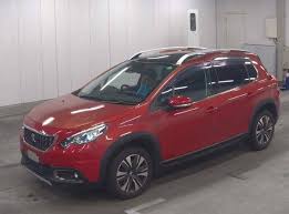 Image result for Ginger Brown 2014 Peugeot