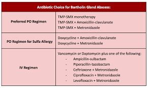 Image result for Bartholin's gland abscess